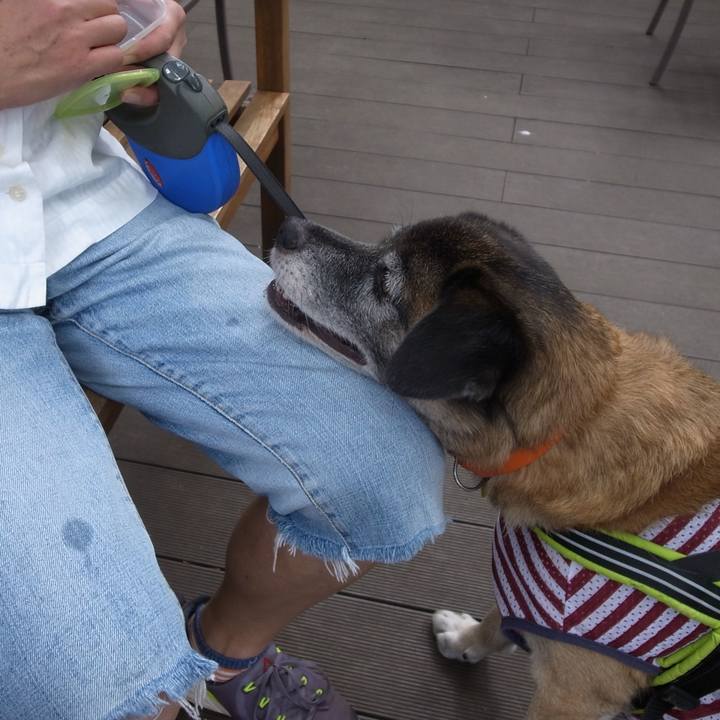 Ce3dc858 3268 495d affd 1e3884809e1f 1589579576816