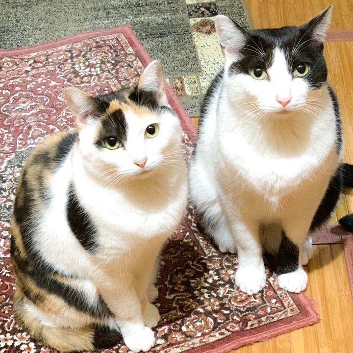 Ce3dcc39 58e3 4bf7 930d 4748a17a4b06 1575425515415