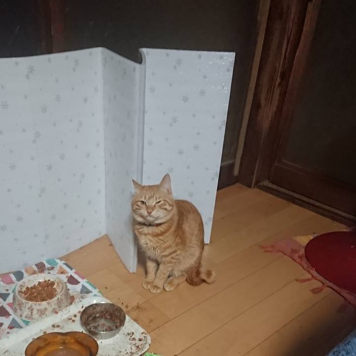 Ce3dce9a 11ec 4757 b782 b29f40abadff 1645047414703