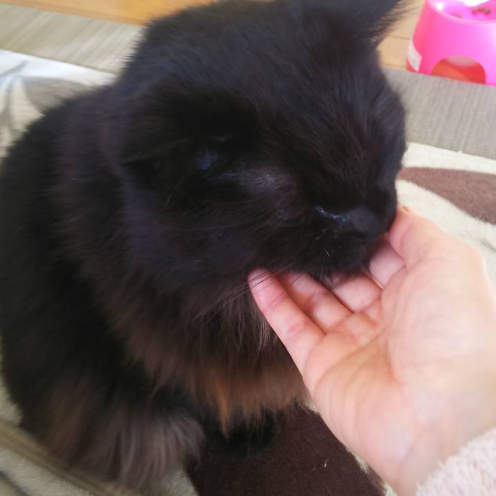 Ce3dd0eb 5534 47ad b79a f95c0a56aea0 1575331371383