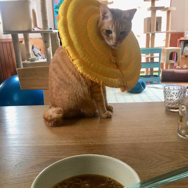 Ce3e099c 5426 4572 a4c7 4f4c5bb6d178 1528170709524