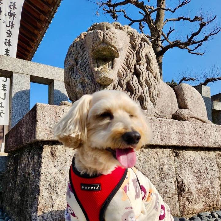 Ce3e1e00 9bff 491b ad0c a141601ee0cd 1768794375967