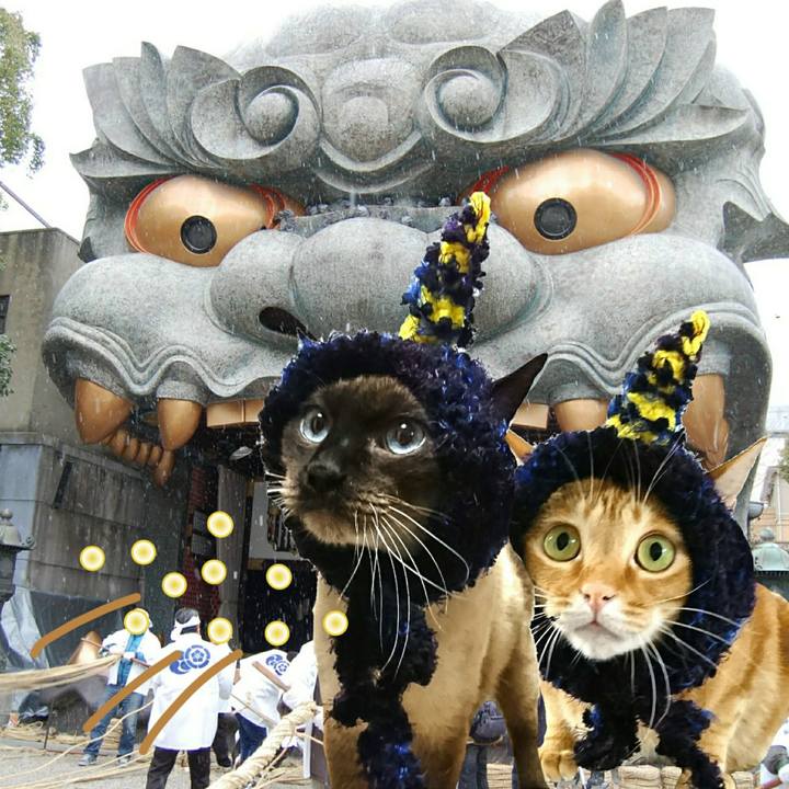 Ce3e4cde 1ee3 4d6c a026 0292ca7f10f8 1549107255156