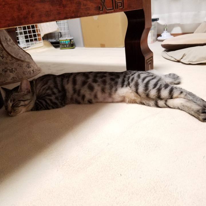 Ce3e61b8 c180 4dcf bf60 8154c65a9ffa 1676890918603