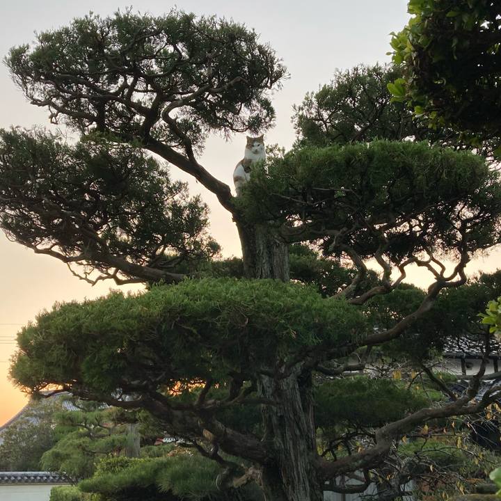 Ce3e723b 022d 43e6 9b03 8fb60f3f1e6d 1636963525676