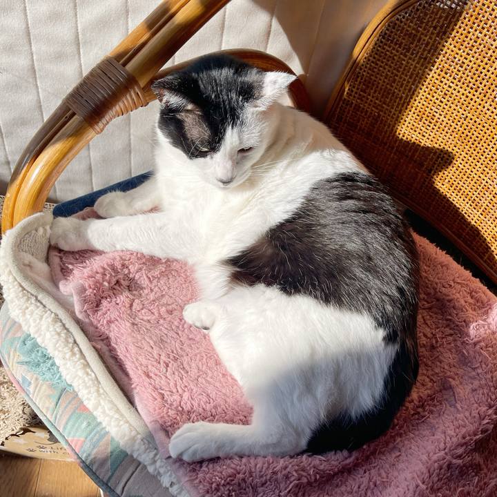 Ce3eb136 c862 4264 b453 8f494904332e 1767403016884