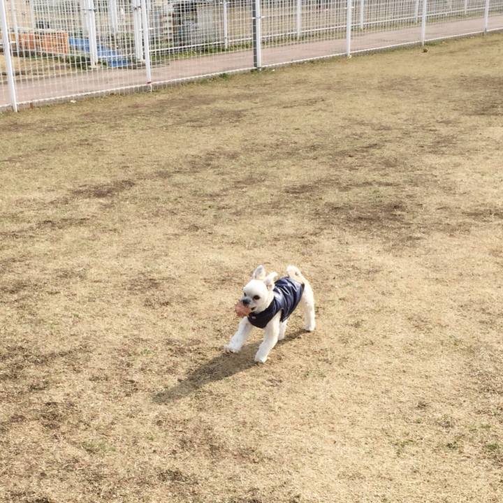 Ce3ebb26 60c8 4f81 abb9 e1ef074a95a1 1549793160910