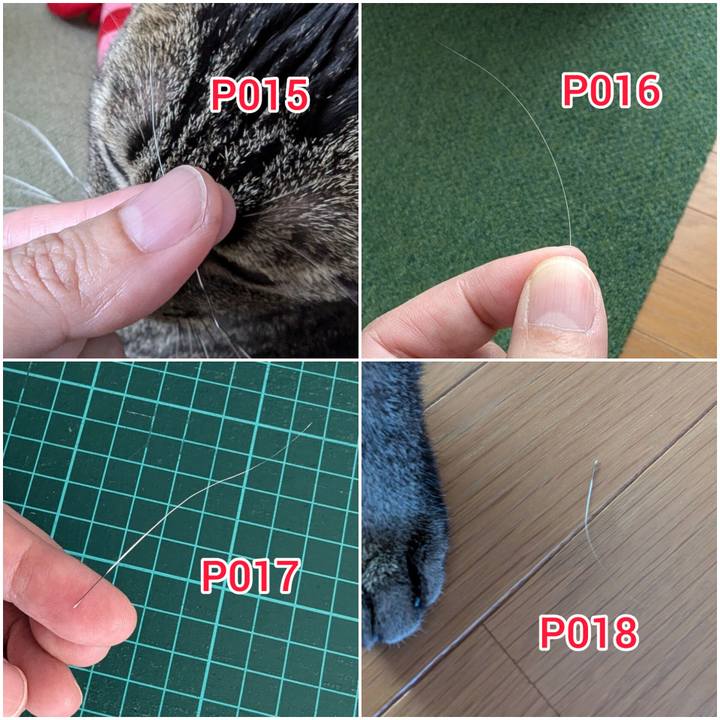 Ce3ede7a 4f36 4589 97ee 8a844c9c9360 1730176716207