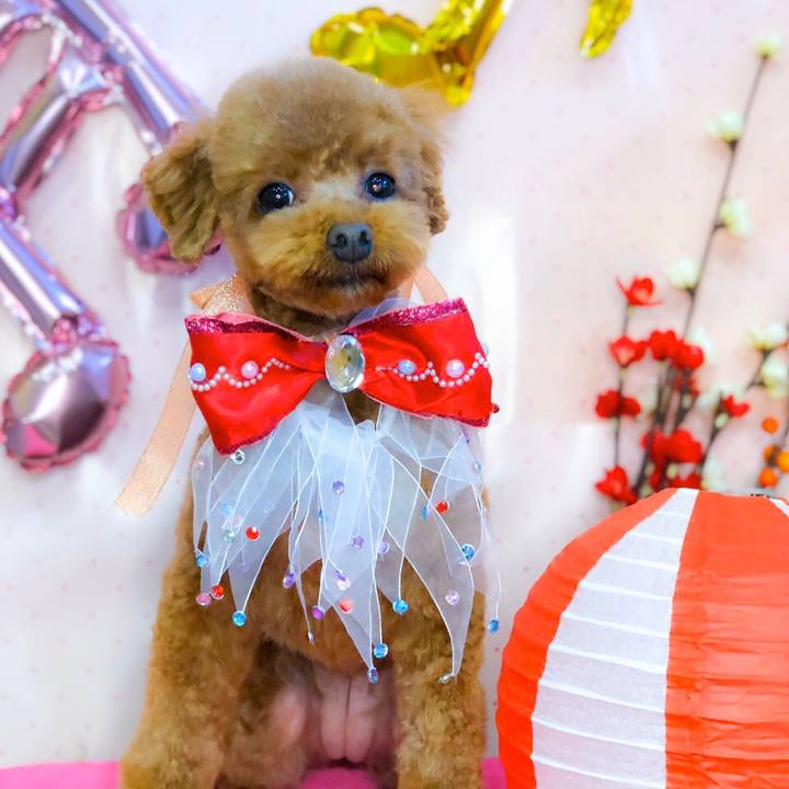 Ce3efd4b 870c 433f a735 566f4ab710cb 1580643936131