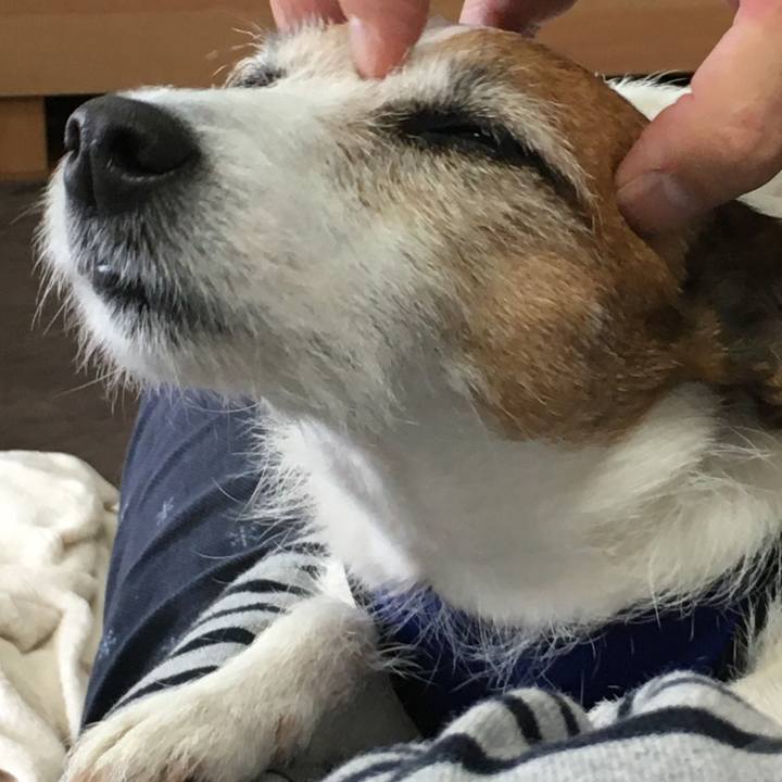 Ce3efd4f 1b0a 4114 974c 583f30703e4d 1589327200617