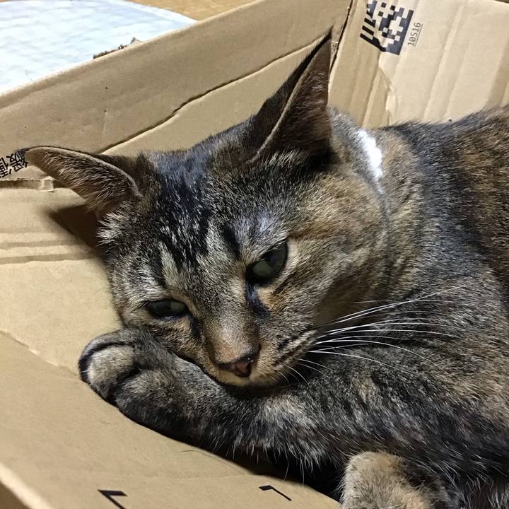 Ce3f476d 0e52 4fd4 ba89 f8d3fe96d4dd 1724488581875