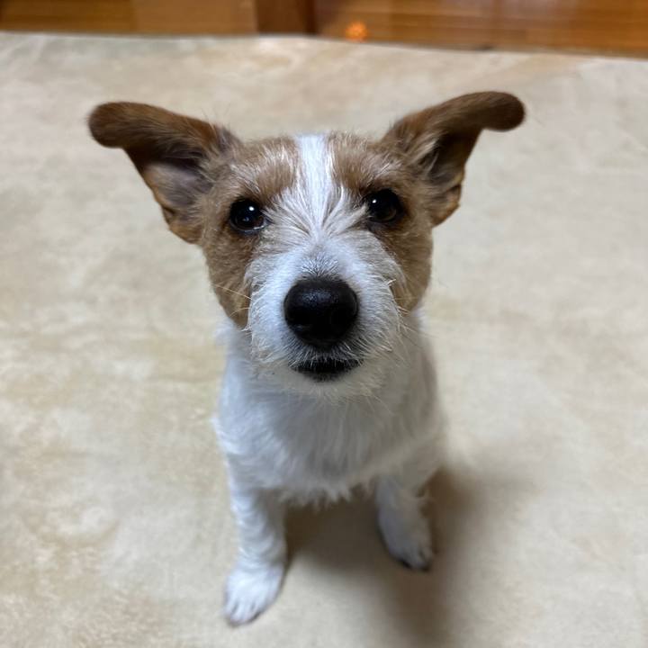 Ce3f8bf6 7753 4b5d 8f9e 2629f155201f 1773091422107