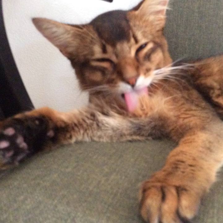 Ce3fa0db 2c3a 4b45 a974 ae10fc873d5b 1568199643770