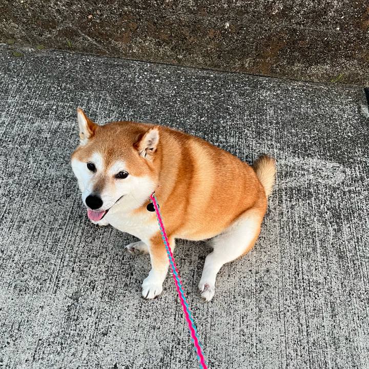 Ce3fc2dd d188 46b4 8cfb cf7e5233abde 1651191558109