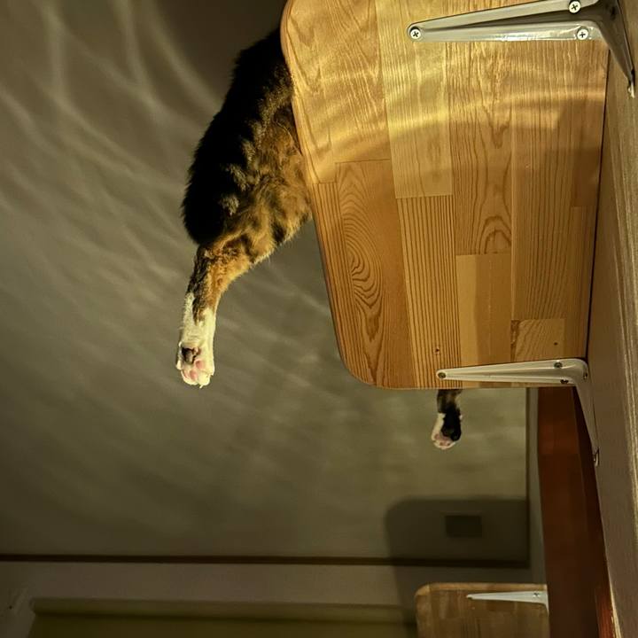 Ce3fe50b eaa3 4964 afbe 71052510d305 1687021086562