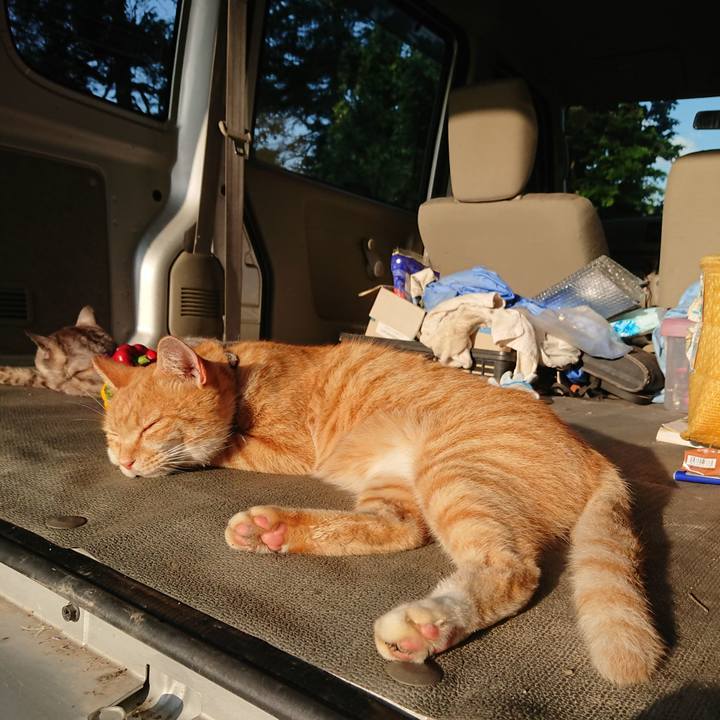 Ce401710 fa0a 4174 8d1e fdccb4fb788d 1597269082354