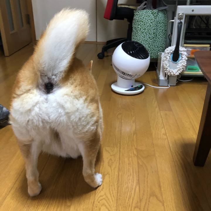 Ce4022c2 165d 4177 a06a b63d02e581cf 1593045950048