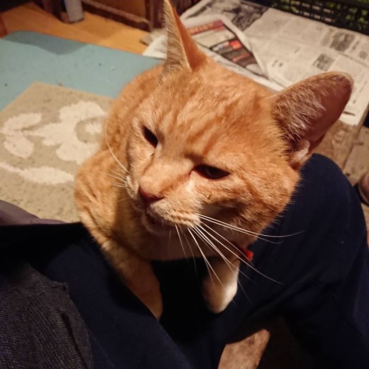 Ce40345d 65de 48ab 8290 fac0016719eb 1573808628564