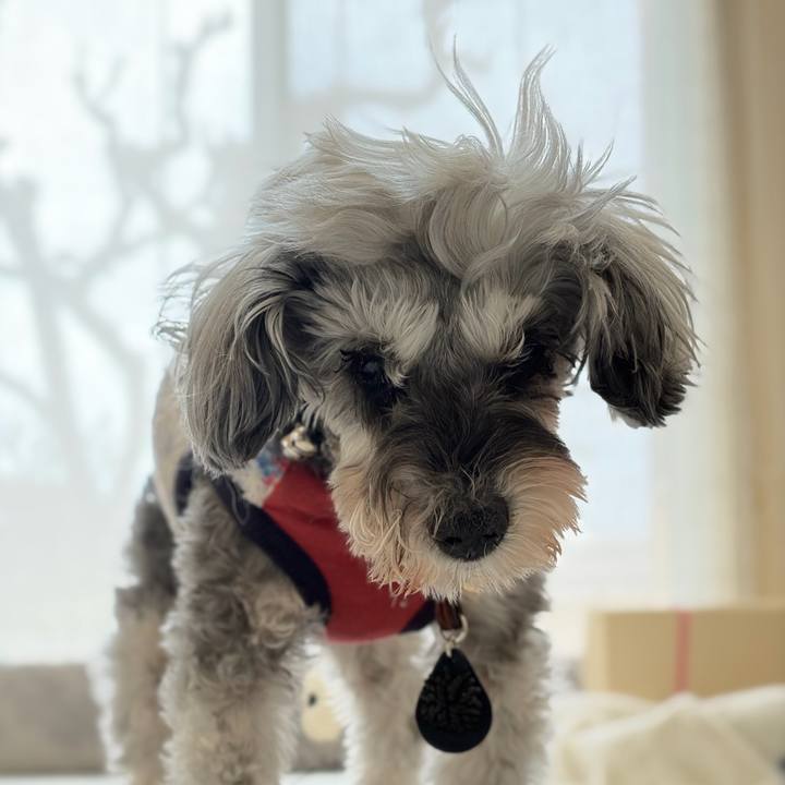 Ce4061fb e13c 49c5 909f 58854329fe48 1772419775979