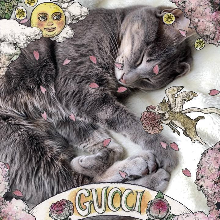 Ce4073e0 6c44 40fb b03b a604eb3c6c12 1679372539594