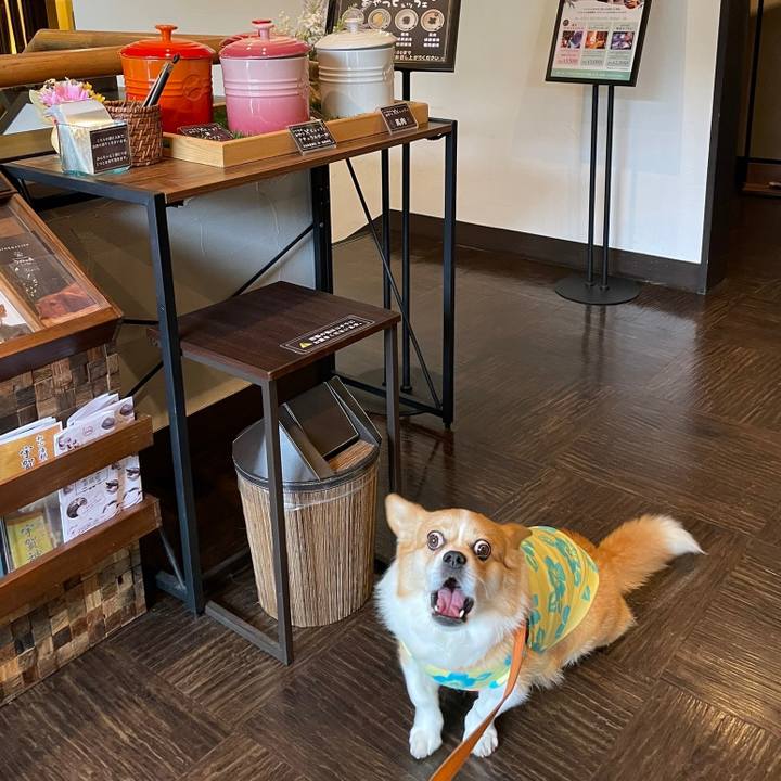 Ce4076b3 b287 451f 946d 63e7004144c2 1717322696423