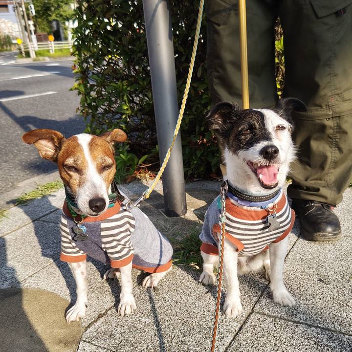 Ce40f8ab 9249 4e90 a287 fa94ce3d8491 1722724948559