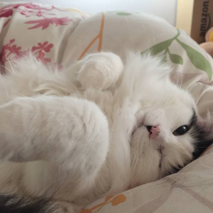 Ce411c67 aa06 4875 9321 85ee1afbe233 1518186787666