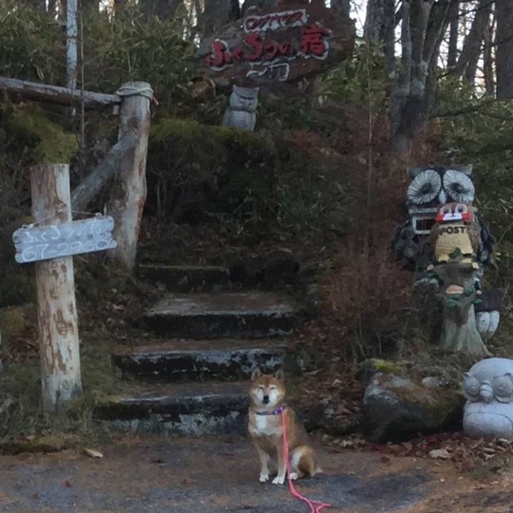 Ce4122c4 baa3 4a24 ac58 d5caa321e6ba 1574130083428