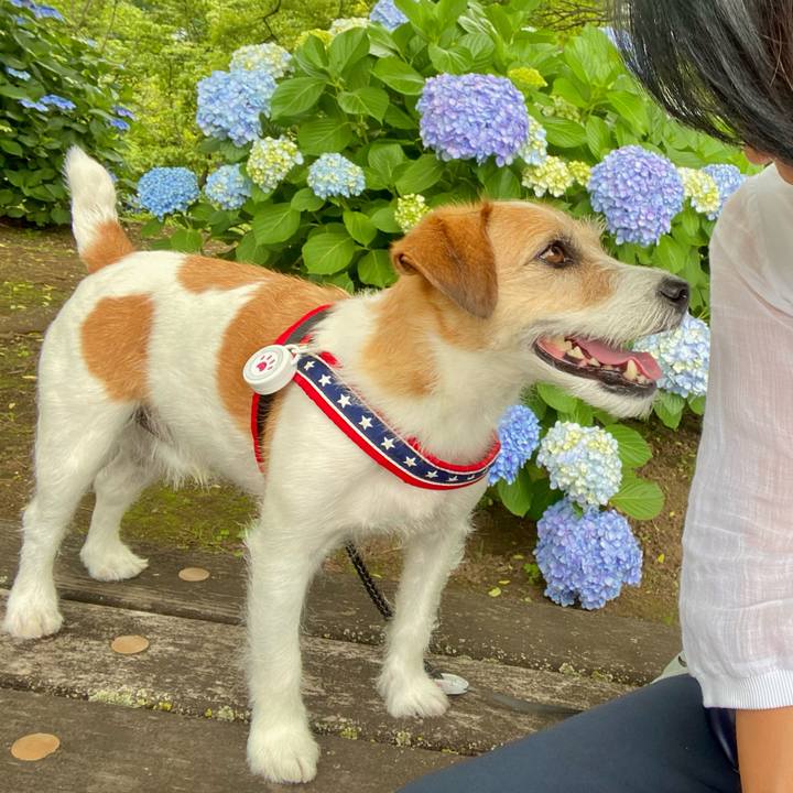 Ce41498b 2acf 4c2c bd5d 74688e2cfc92 1655526036170