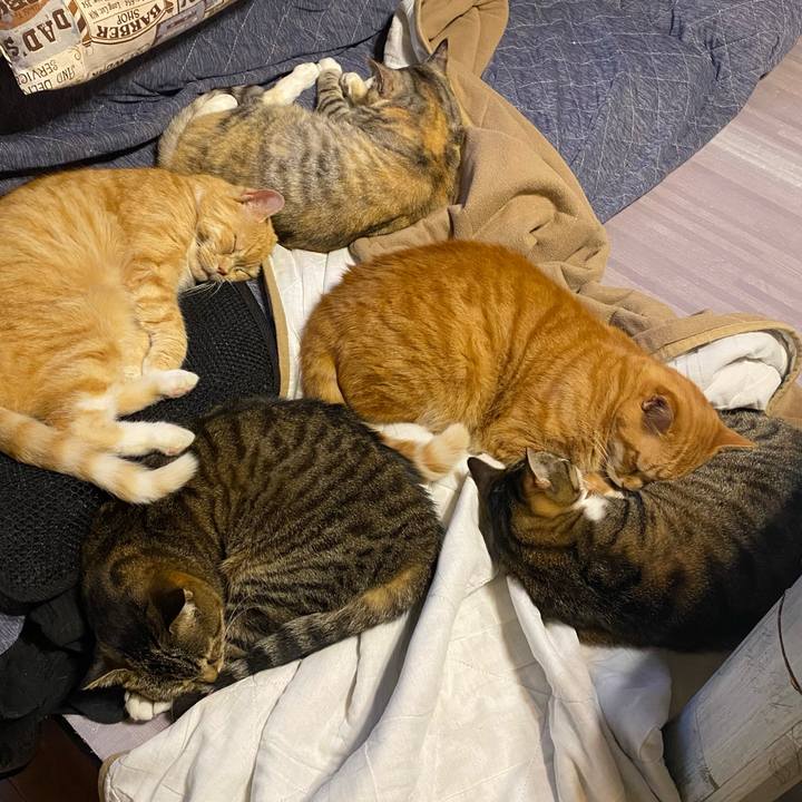 Ce4172e4 476f 4ce3 ae58 3d0ef0d54c67 1621884861479