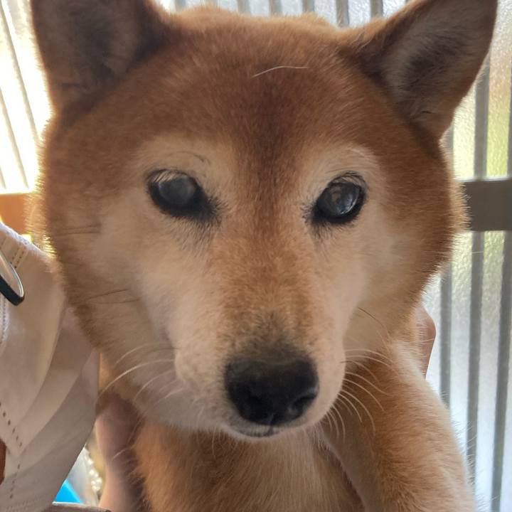 Ce4191cb ec59 40e2 854d 5fb908cd4dd1 1688977025632