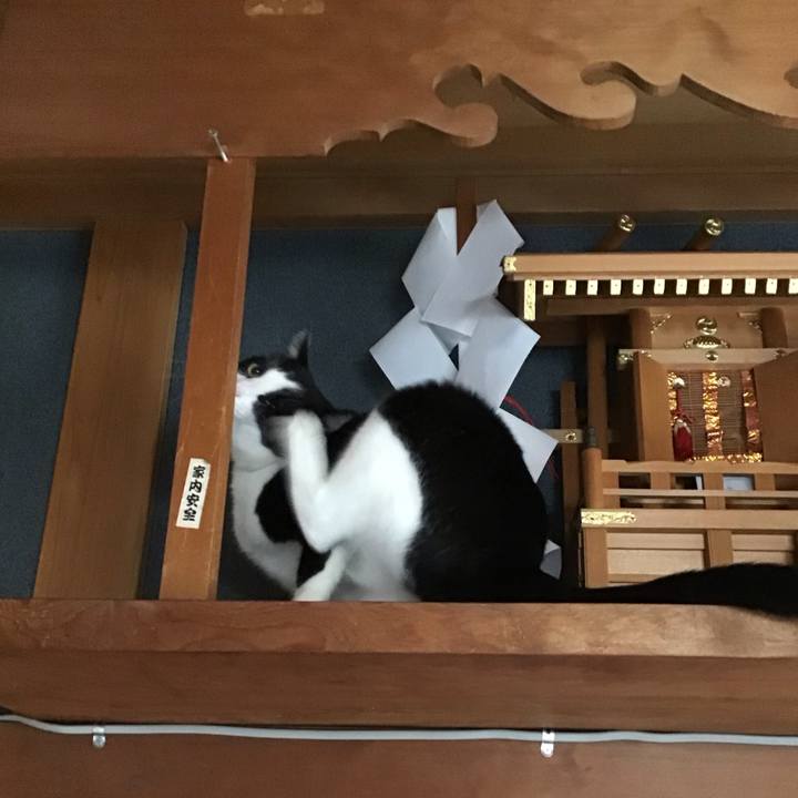 Ce41aafa 8939 4029 9388 974bcf112295 1759538196414