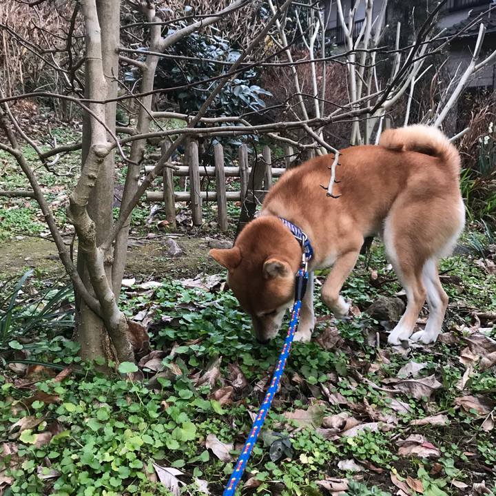 Ce41c4b0 4acf 4fde 8fc3 25253371fa5a 1579515013154