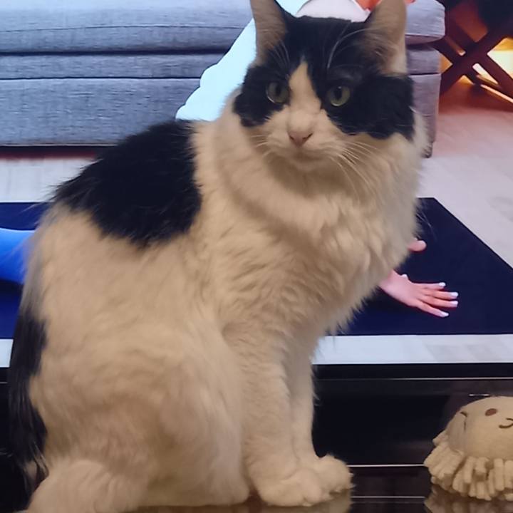 Ce41d546 faad 45f7 9877 ca2bad04f6f9 1677547155270