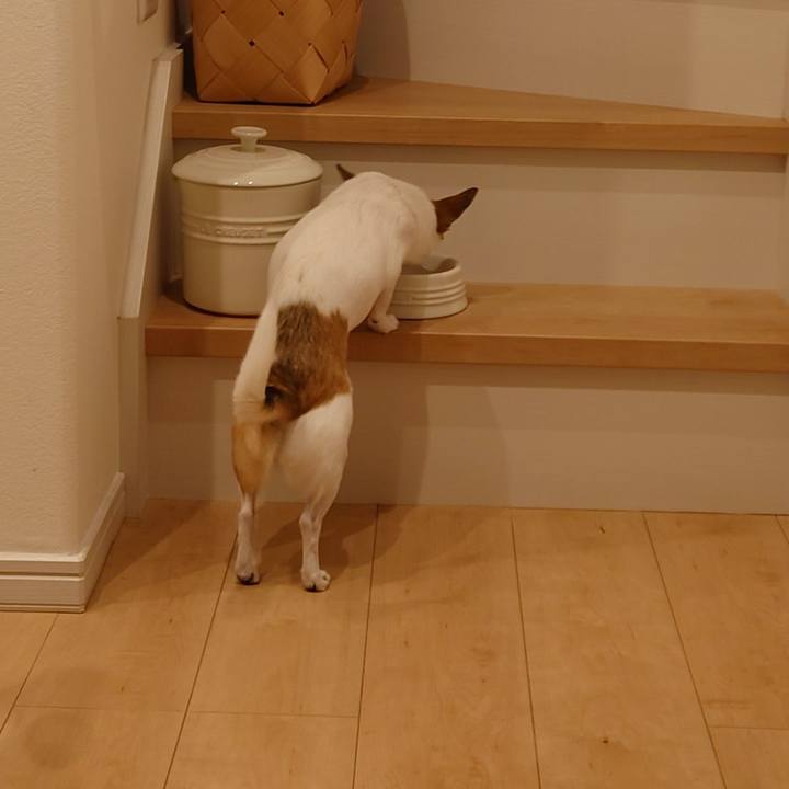 Ce41ff42 44dd 40a6 88a7 f33506ccb185 1633692405698