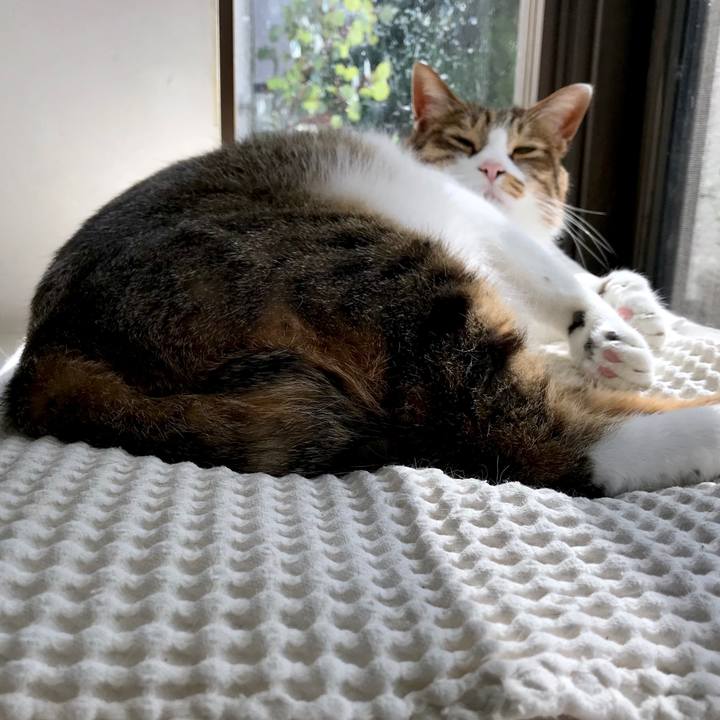 Ce420770 8f76 4fff 94ba f64e0ff588fd 1522127483794