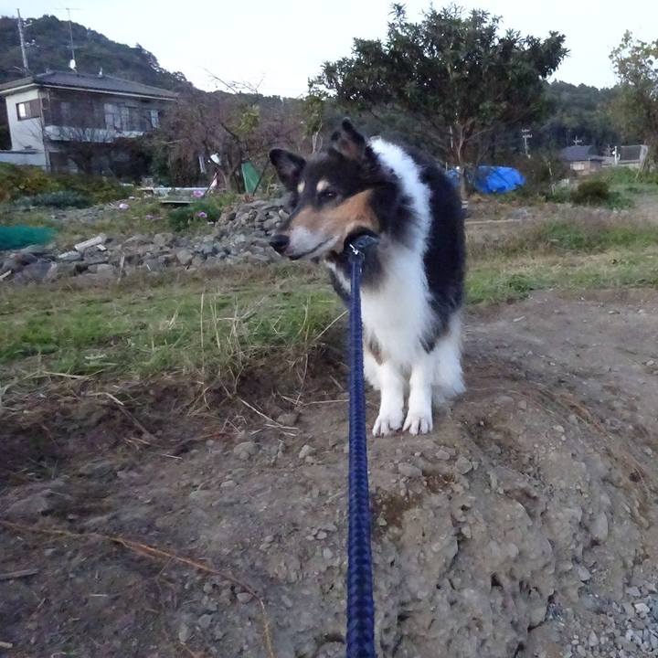 Ce420fc8 0728 4d67 b4bf 85490fe16f63 1574167837284