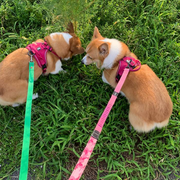 Ce421750 282c 447c a7cc f7c24f8ec424 1630108629815