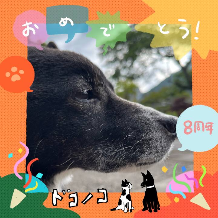 Ce42c6bd 08bd 4281 9f16 4736d515cdb2 1718025611967