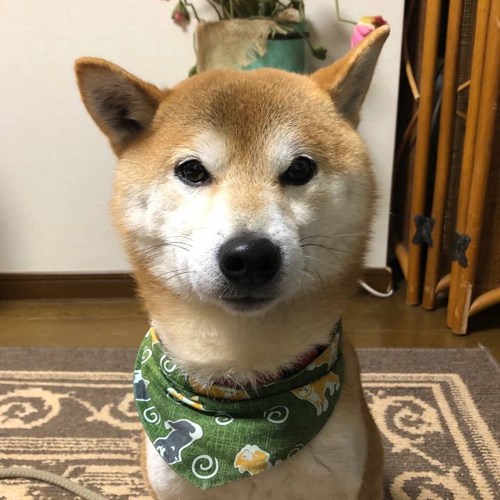 Ce42c824 0caf 4200 9d33 4621cf0129a2 1547291126022