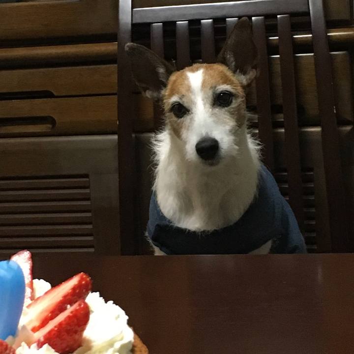 Ce42f7b1 88ec 48e2 bb59 2f9d144e7af6 1639180150347