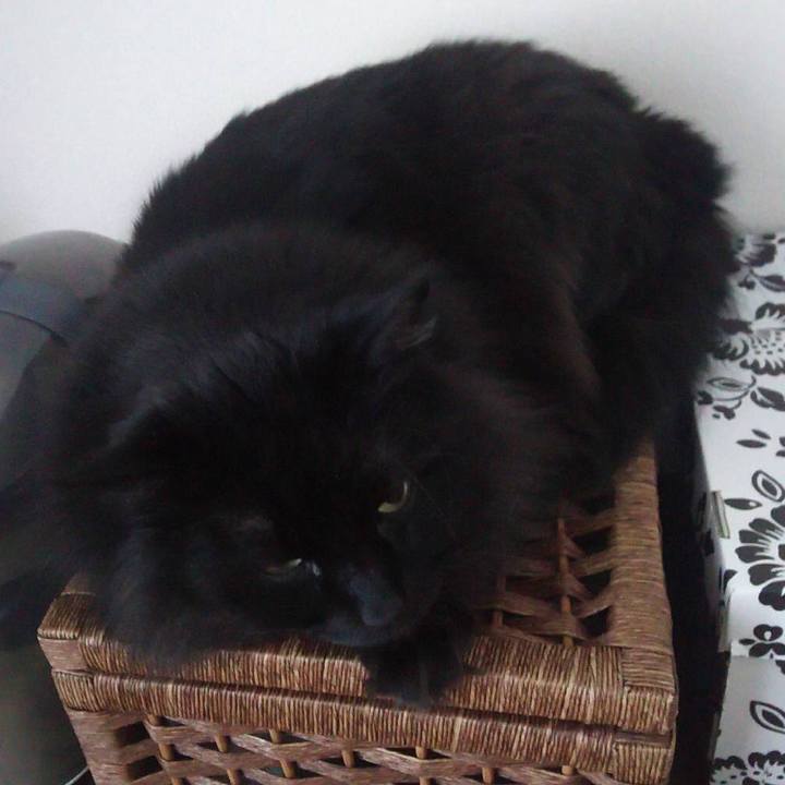 Ce43039c a8fc 4f7e aef2 0d3a47782edd 1547004736365