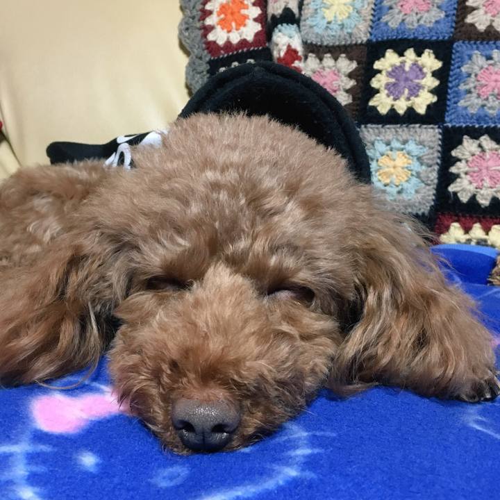 Ce4345d9 7d99 41d4 be01 5972fa274434 1515299335050