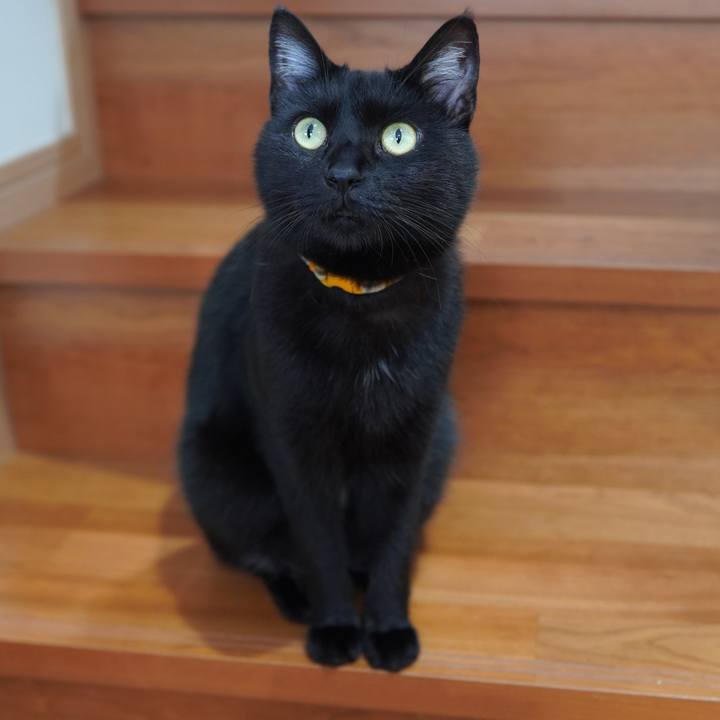 Ce43a19e 1efe 4650 9dd4 980769c81d1b 1591100631761