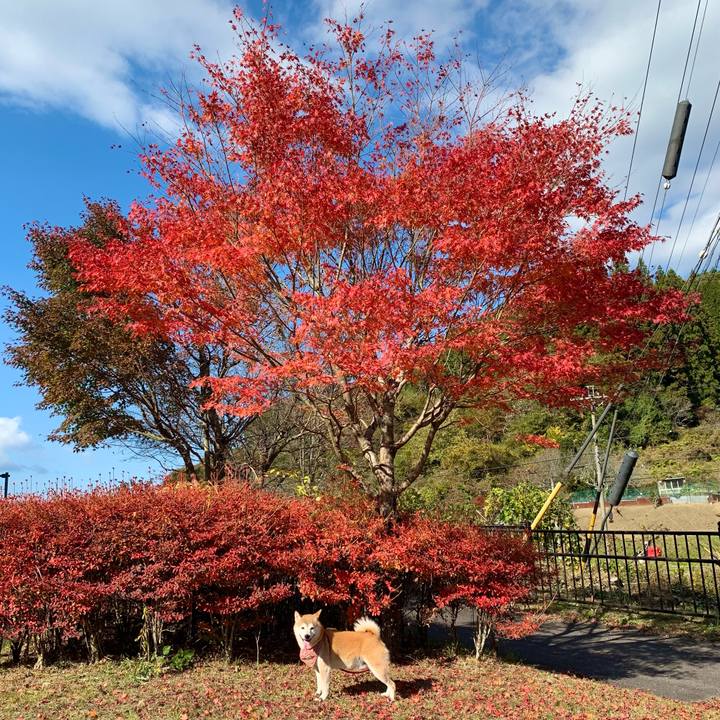 Ce43a8ba b589 405a b62d a4a9e808f047 1668162221115