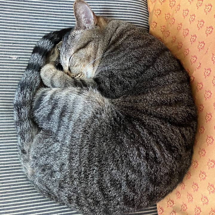 Ce43cb3b 6499 4045 889e e6f2449da34c 1765079852106