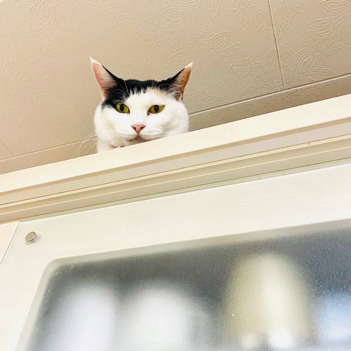 Ce43d763 b940 4bc8 96d7 74e6ebdc1993 1754570113241