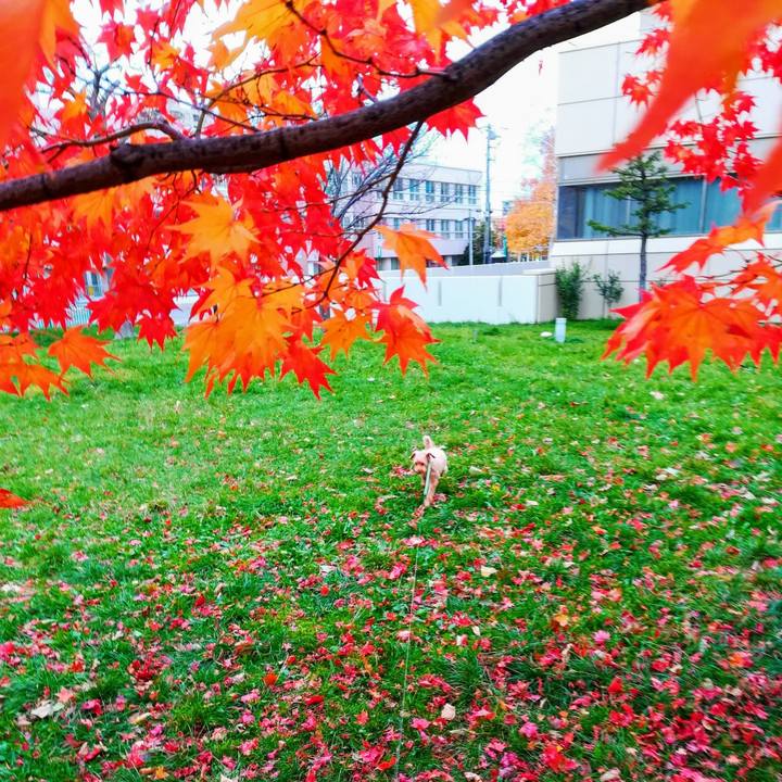 Ce43d764 b1a8 4e4e 9867 469e9ec1f24c 1573167203213