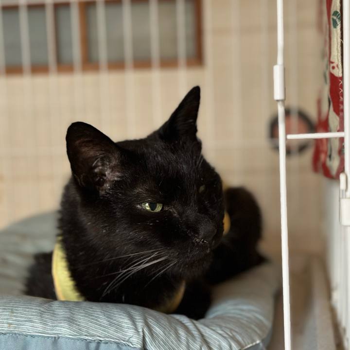 Ce441639 d46f 4c32 9ed3 58dc671b3320 1718415238507