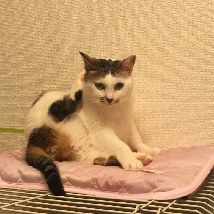 Ce44371e a158 4dbe 8016 08b75375843c 1558865012002